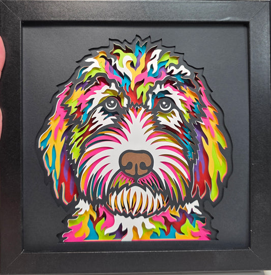 Goldendoodle