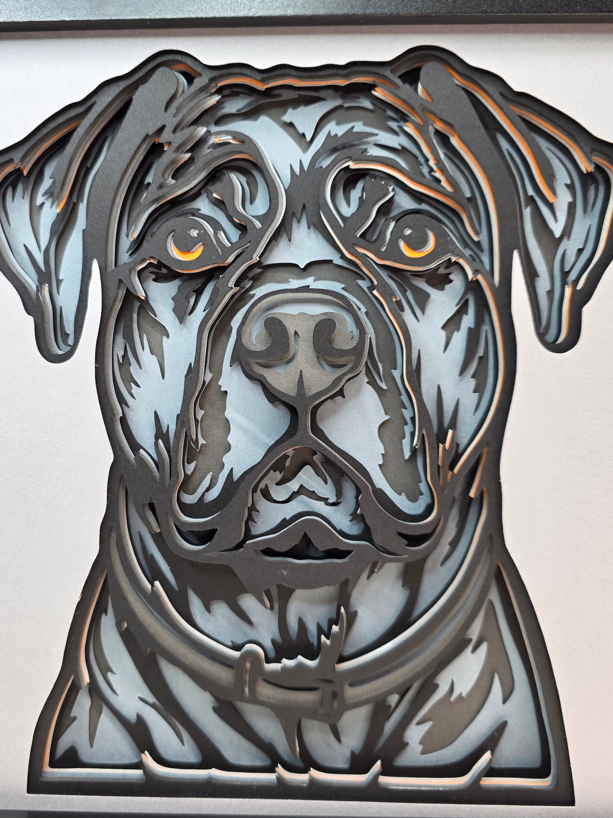 Cane Corso