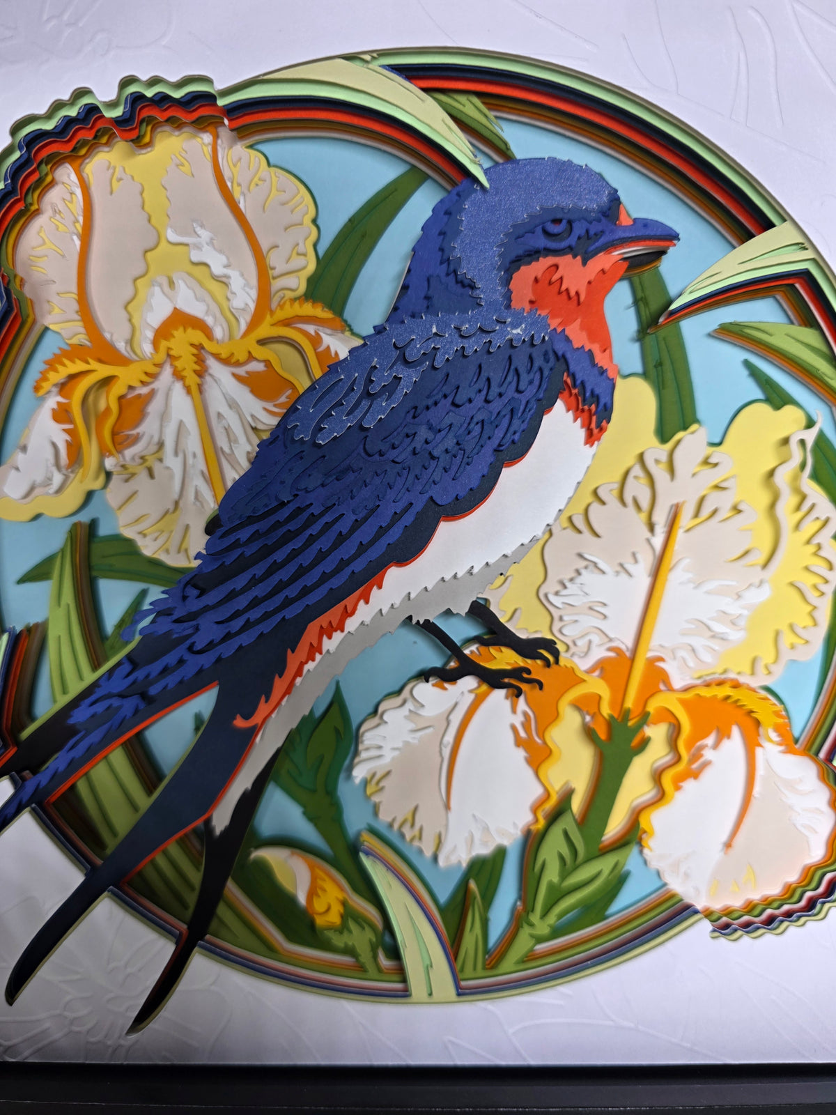 Swallow and Iris's
