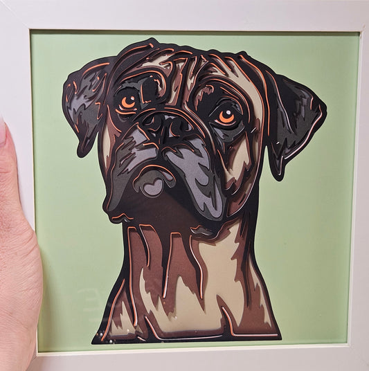 Boxer