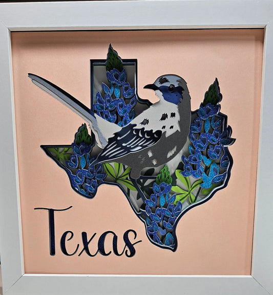 Texas & Bluebonnets