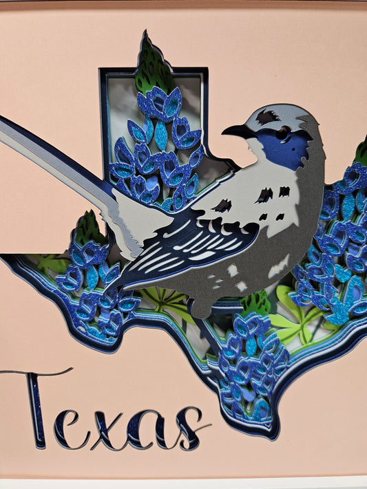 Texas & Bluebonnets
