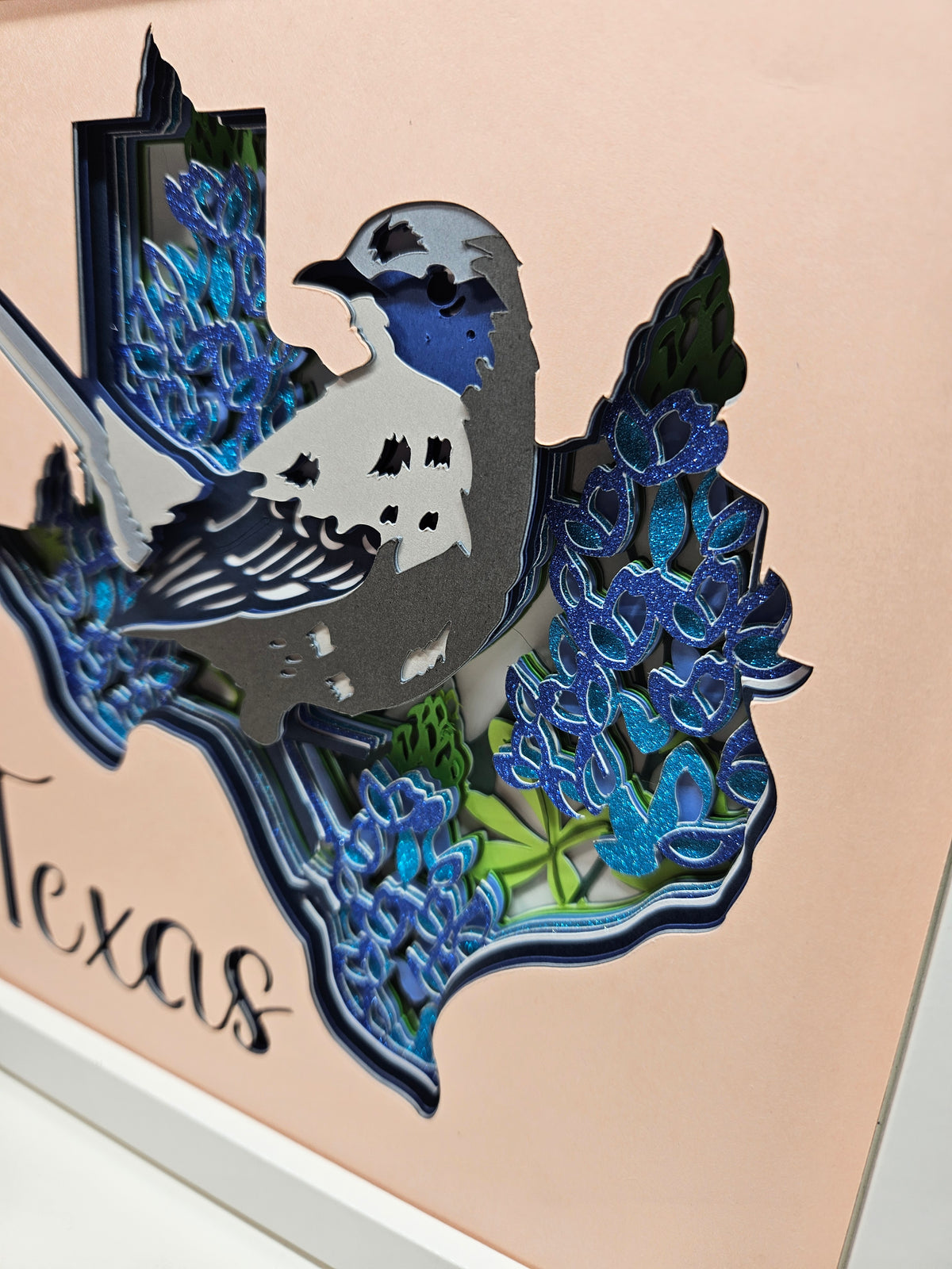Texas & Bluebonnets