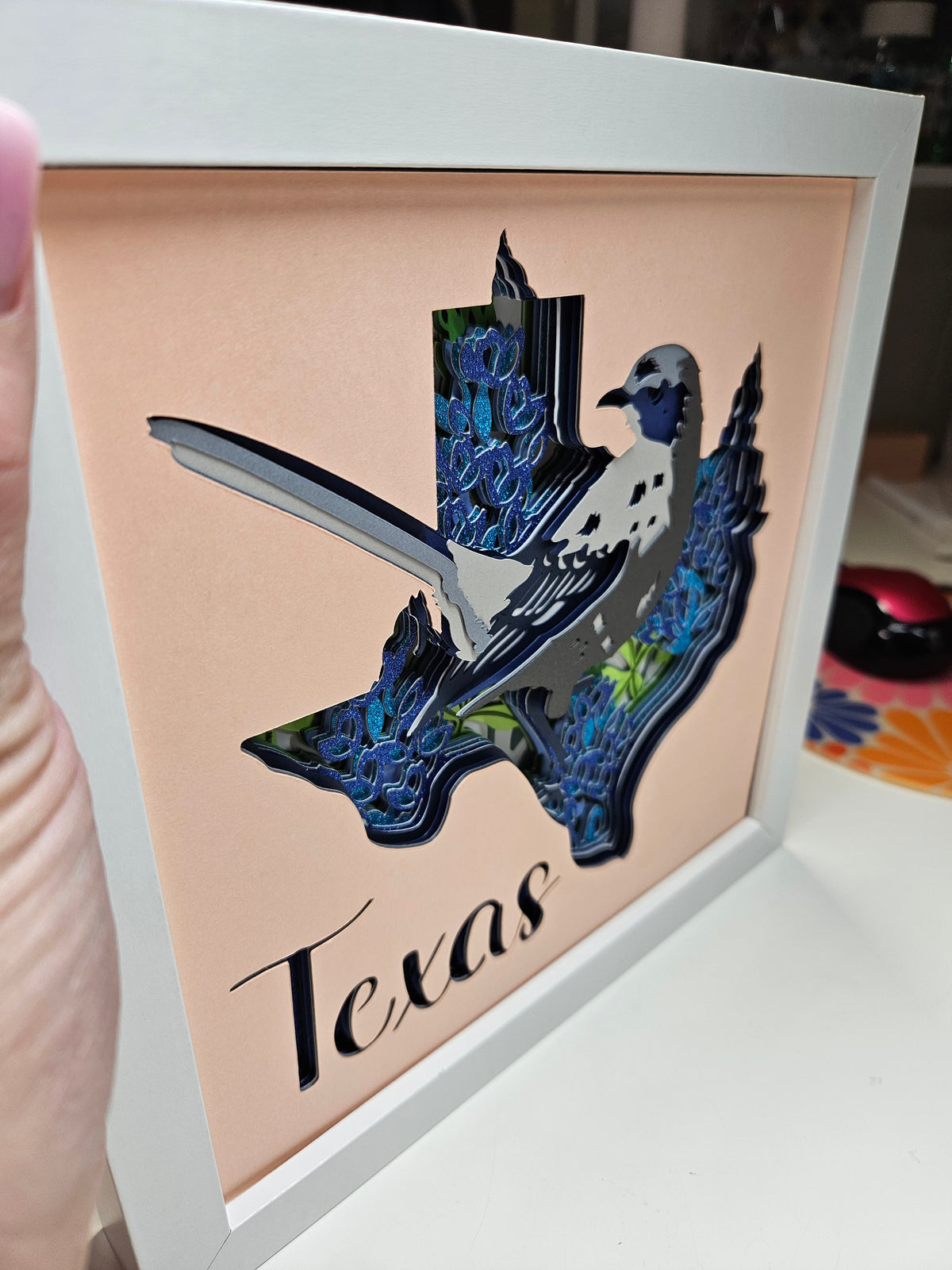 Texas & Bluebonnets