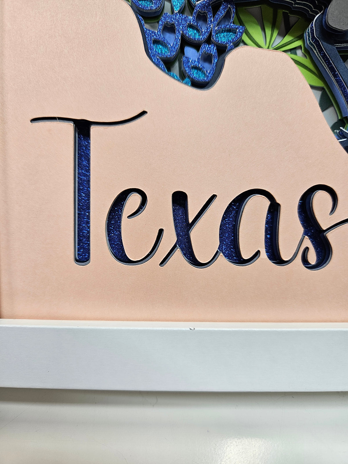 Texas & Bluebonnets