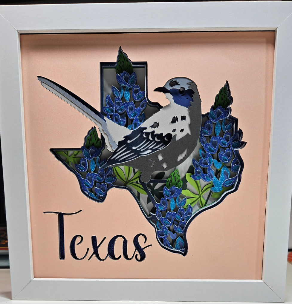 Texas & Bluebonnets
