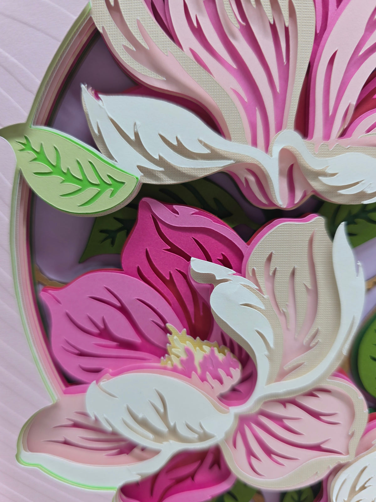 Magnolia