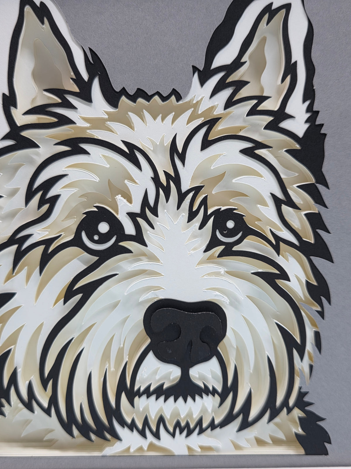 Westie