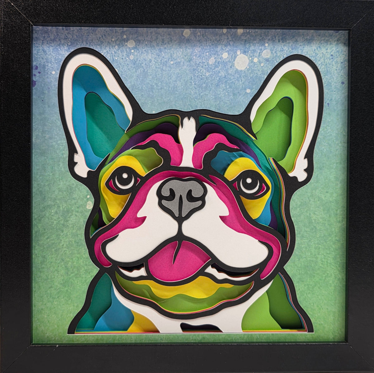 French Bull Dog