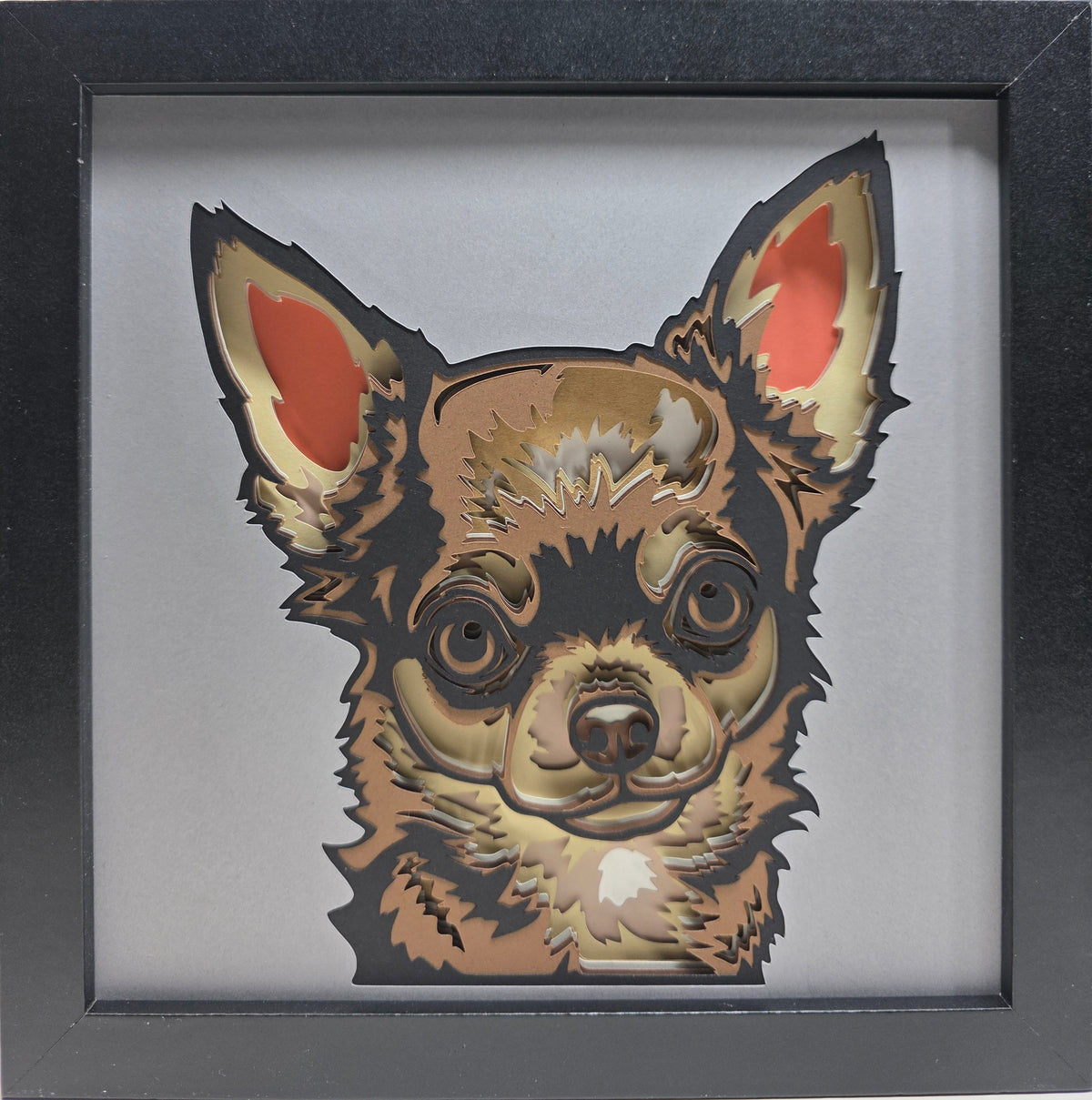 Chihuahua