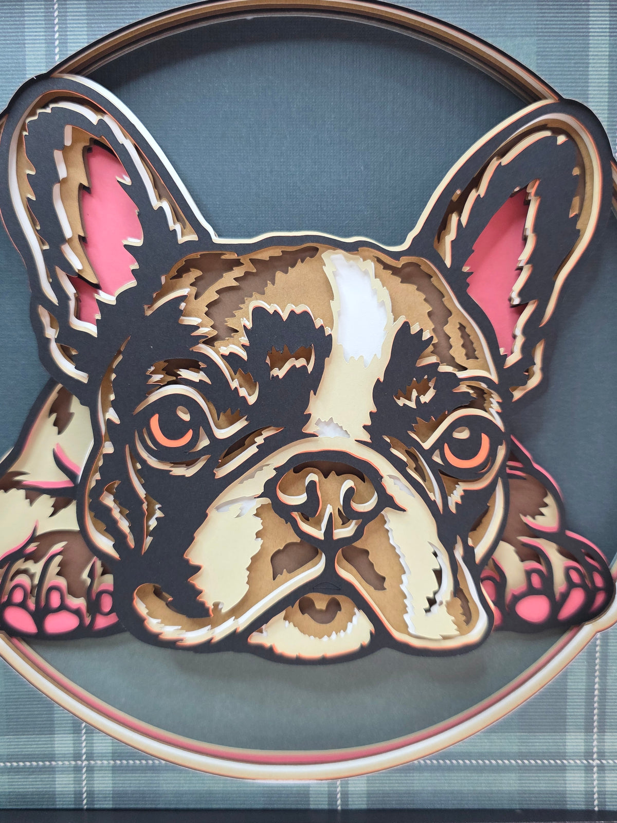 French Bulldog