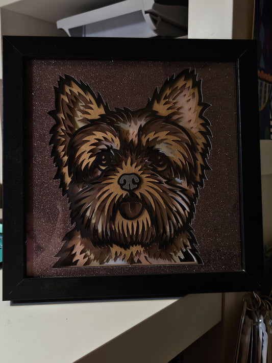 Yorkshire Terrier Dog