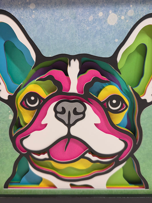 French Bull Dog