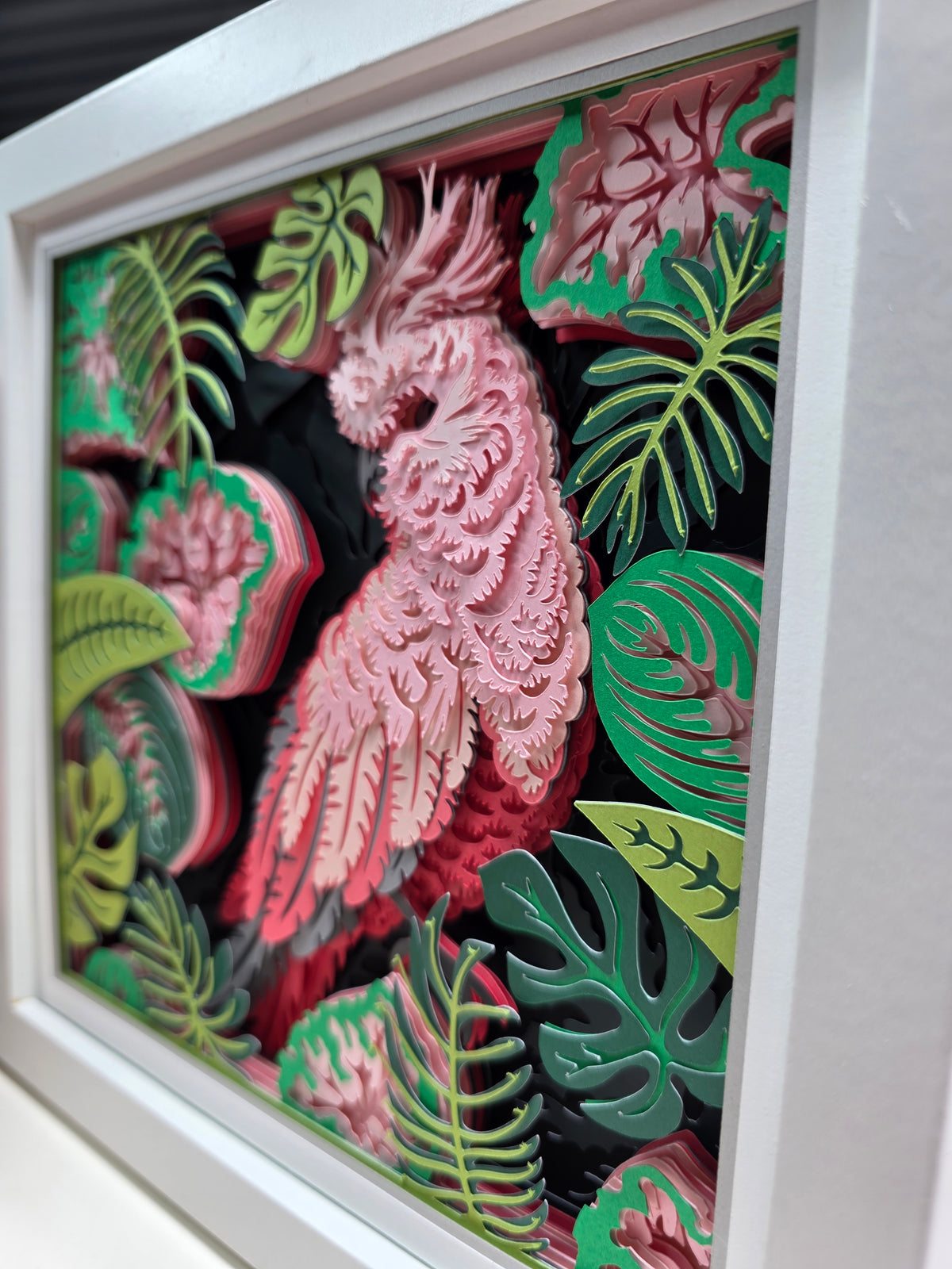 Cockatoo