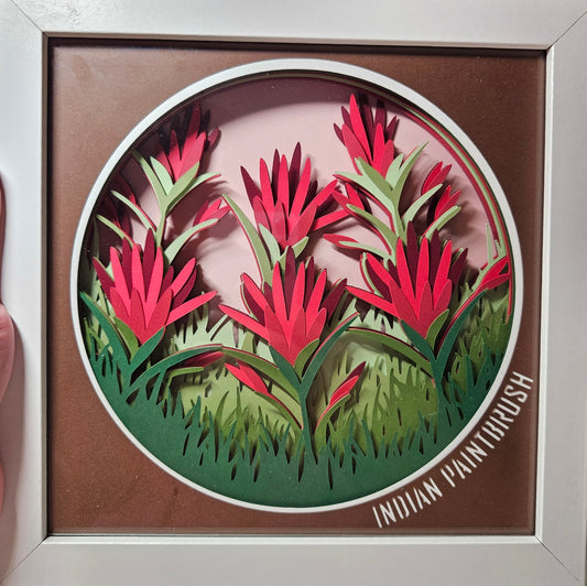 Indian Paintbrush