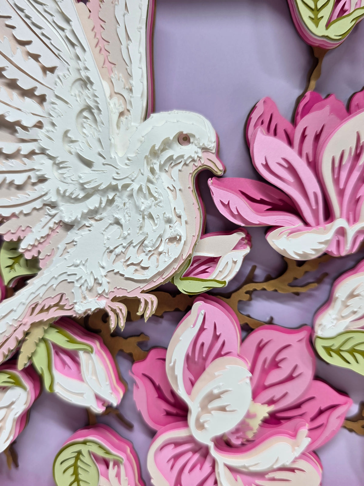 Dove & Magnolia's