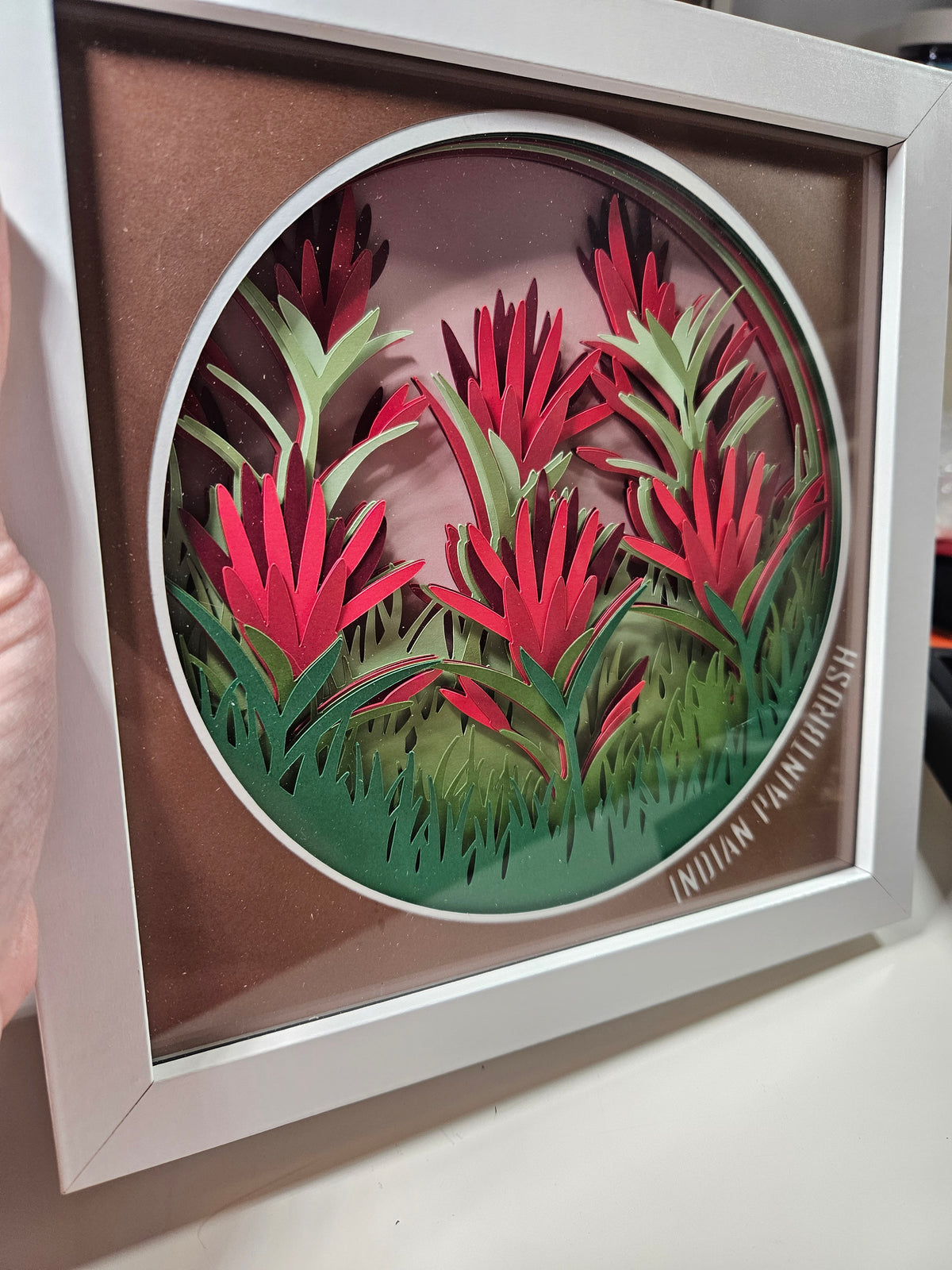 Indian Paintbrush